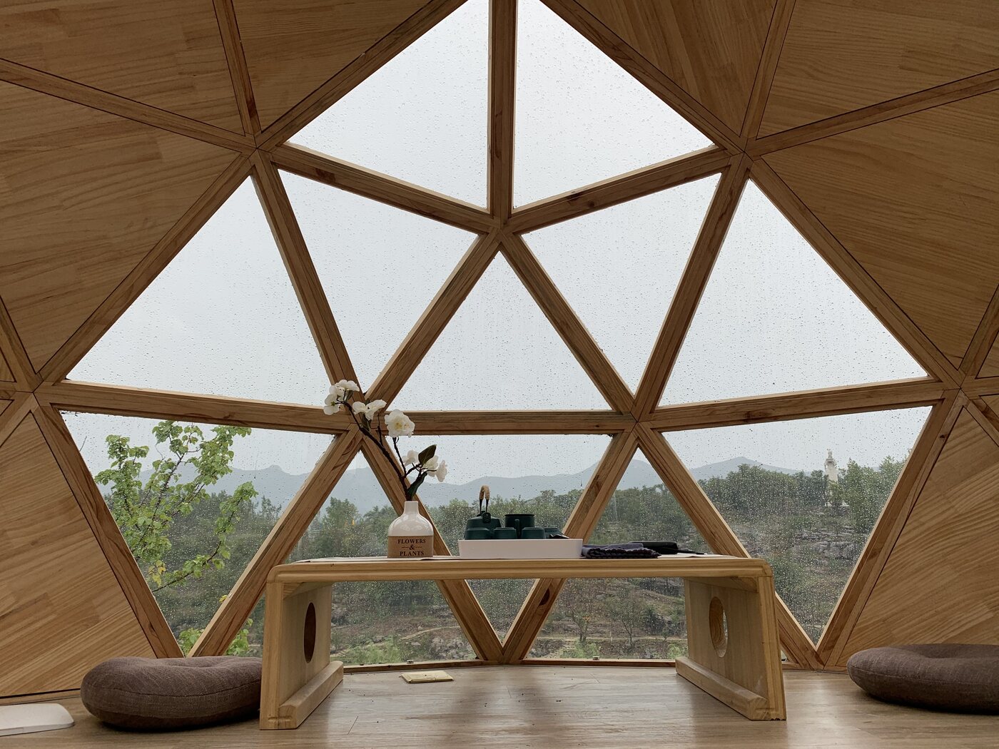 Warm timber interior of the capsule dome overlooking the forest